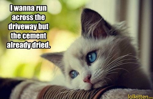I wanna run across the driveway, but the cement already dried.