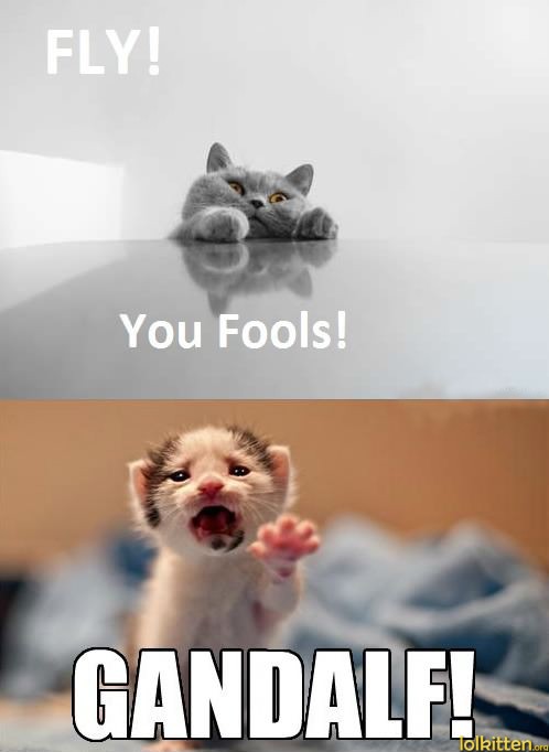 FLY! You Fools! - GANDALF!