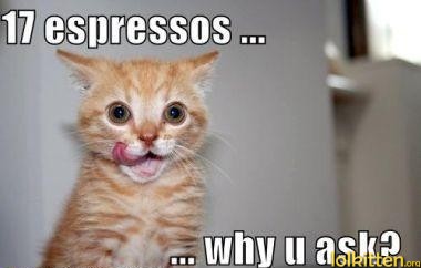 funny-cat-lolcat-17-espressos.jpg