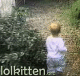 Cat attacks kid