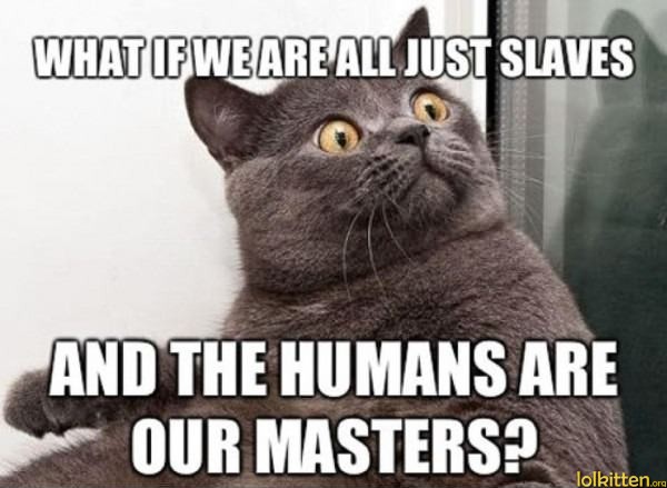 WHAT IF WE ARE ALL JUST SLAVES AND THE HUMANS ARE OUR MASTERS?