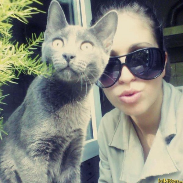 Duck behind cat