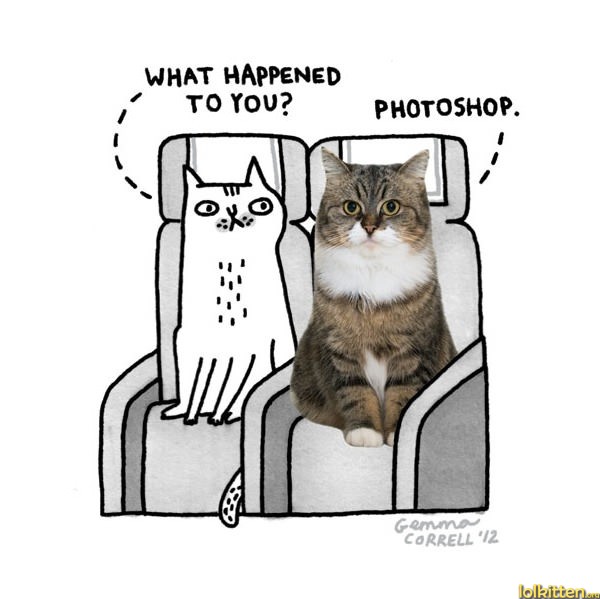 WHAT HAPPENED TO YOU? PHOTOSHOP.
