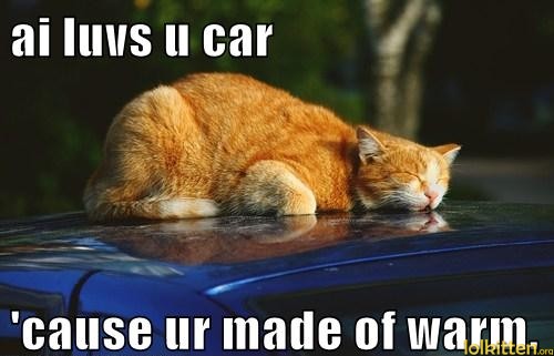 ai luvs u car - 'cause ur made of warm.