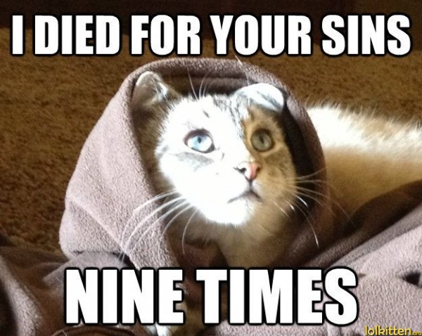 I DIED FOR YOU SINS - NINE TIMES