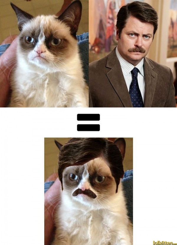 Grumpy Cat + Ron Swanson