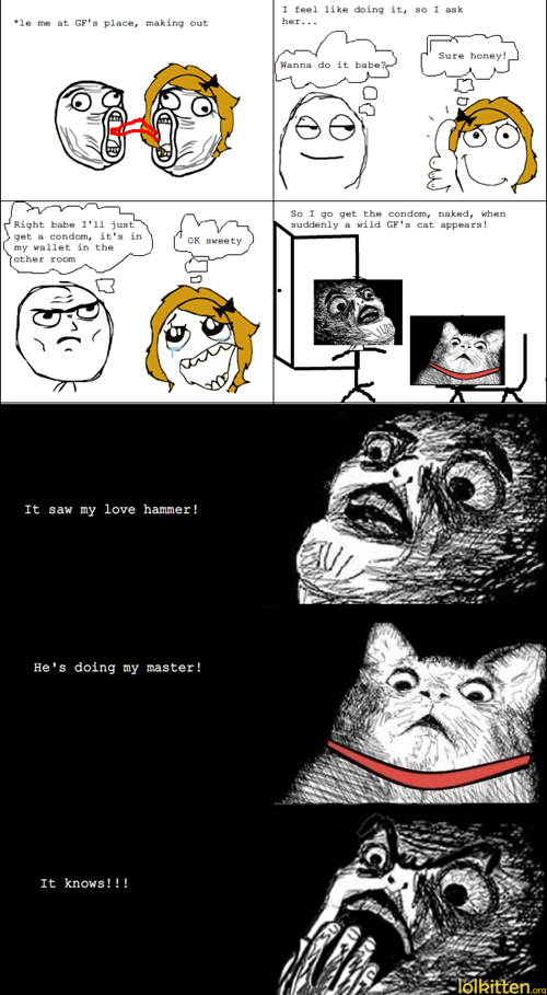 Cat catches couple during sex