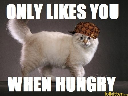 ONLY LIKES YOU WHEN HUNGRY
