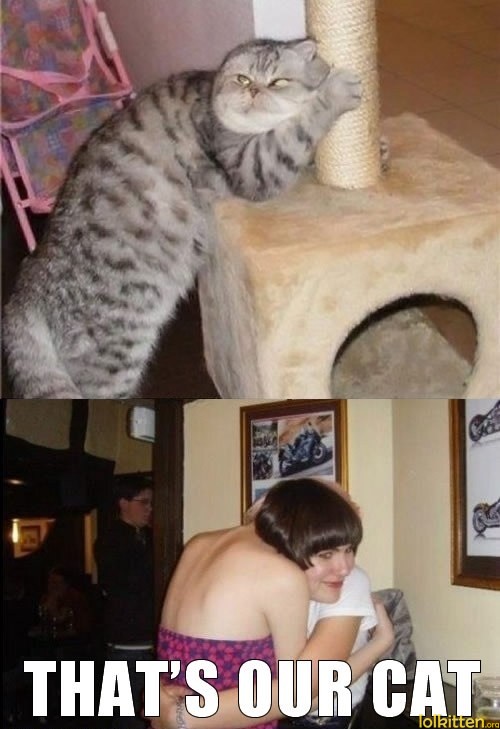 THAT'S OUR CAT