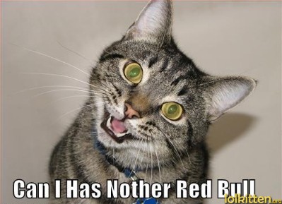 Can I Has Nother Red Bull