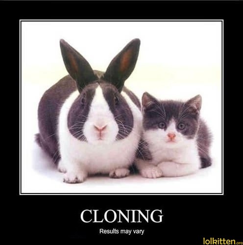 CLONING - Results may vary