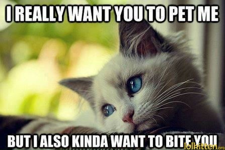 I REALLY WANT YOU TO PET ME - BUT I ALSO WINDA WANT TO BITE YOU