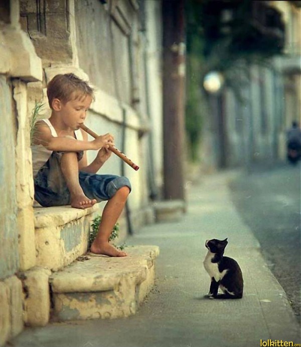 Boy plays flute in front of a cat