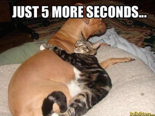 JUST 5 MORE SECONDS...