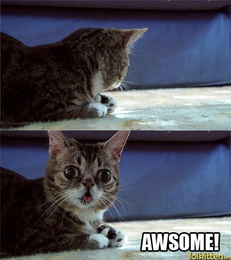AWESOME!