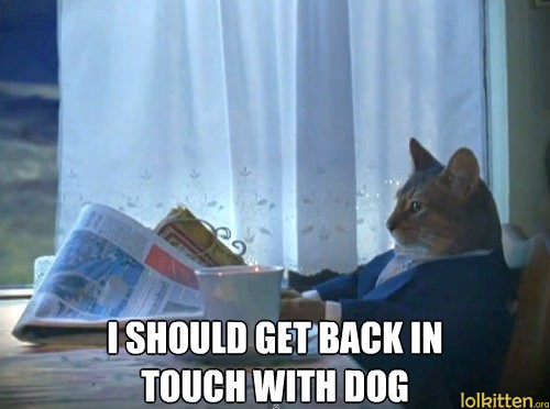 I SHOULD GET BACK IN TOUCH WITH DOG