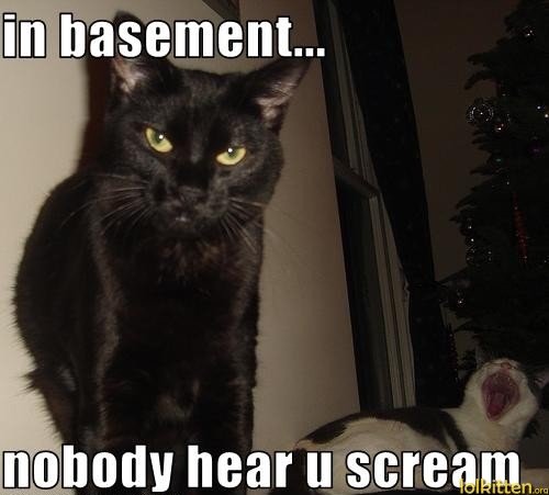 in basement... nobody hear u scream