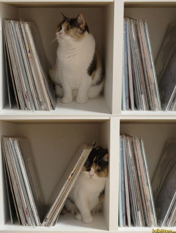 Book staahp!