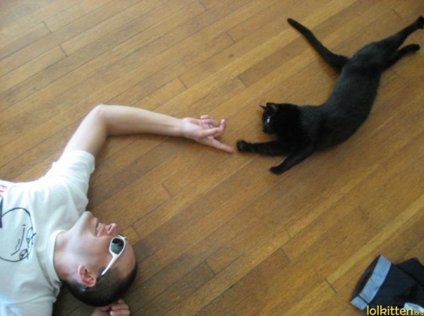 Cat creates human