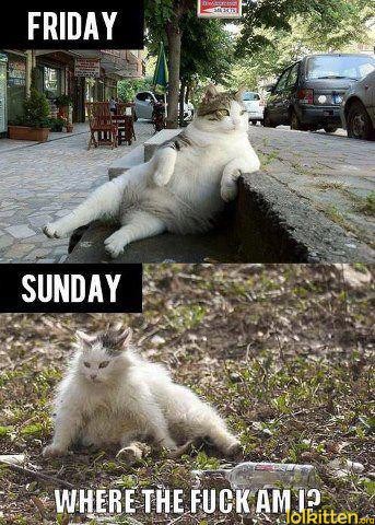 FRIDAY -SUNDAY - WHERE THE FUCK AM I?