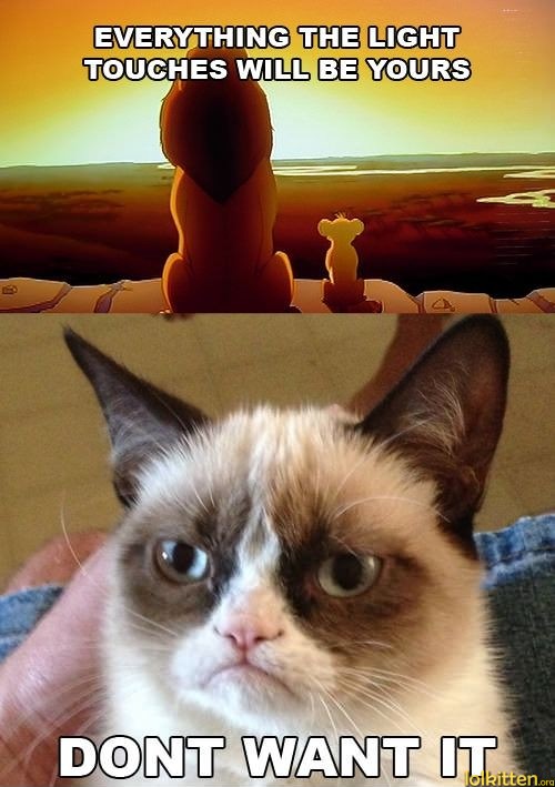 EVERYTHING THE LIGHT TOUCHES WILL BE YOURS - DONT WANT IT