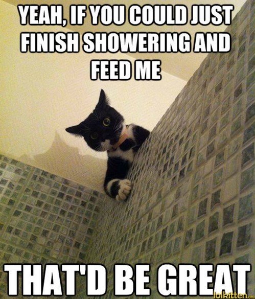 YEAH, IF YOU COULD JUST FINISH SHOWERING AND FEED ME - THAT'D BE GREAT