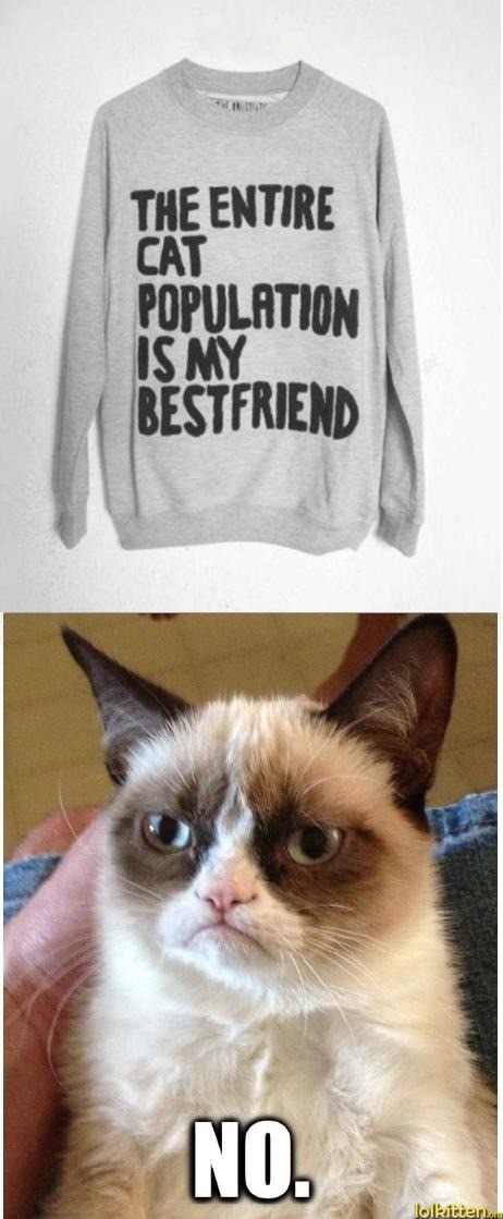 THE ENTIRE CAT POPULATION IS MY BESTFRIEND - NO.
