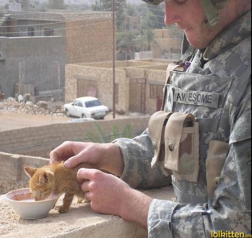 Soldier feeding a kitty