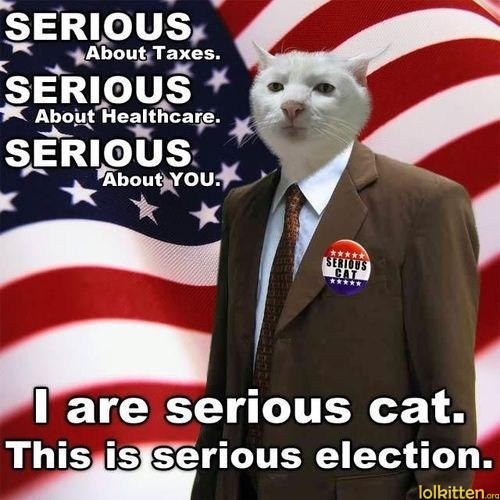I are seriouse cat.