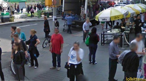 Cat on head, seen on google street view