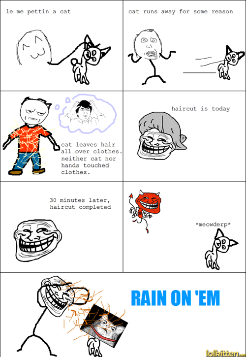 Cat hair revenge