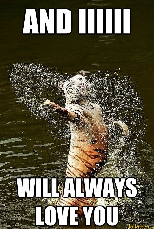 AND IIIIII WILL ALWAYS LOVE YOU