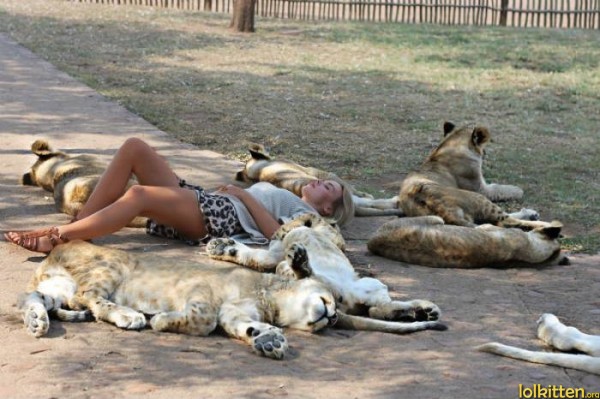 Stealth Woman Sleeping betweet Lions