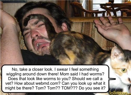 Tom needs to see cat's ass