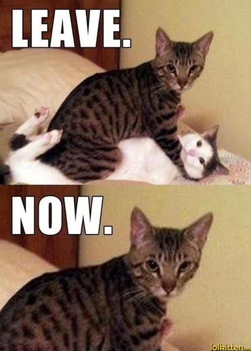 LEAVE. NOW.