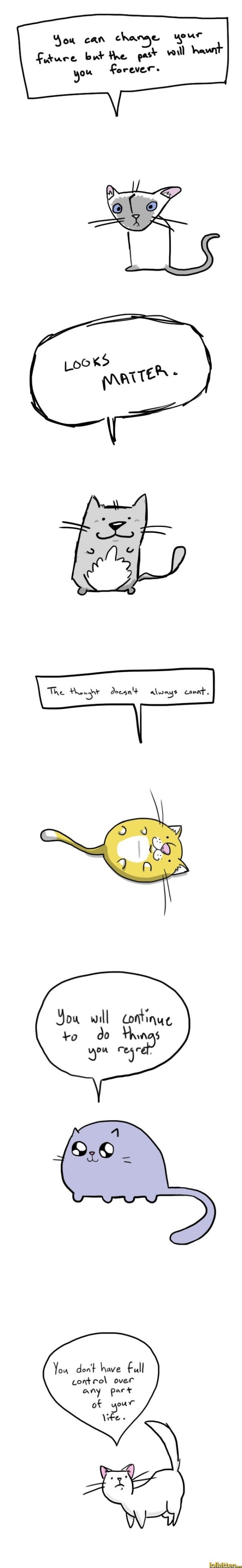 Hard truths by soft cats