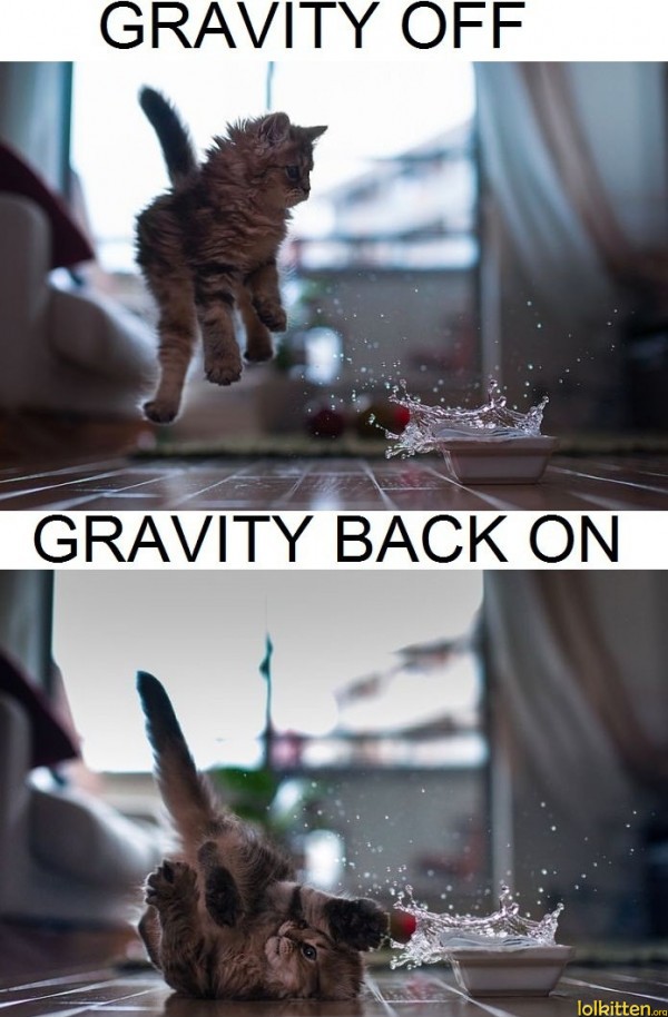 GRAVITY OFF - GRAVITY BACK ON