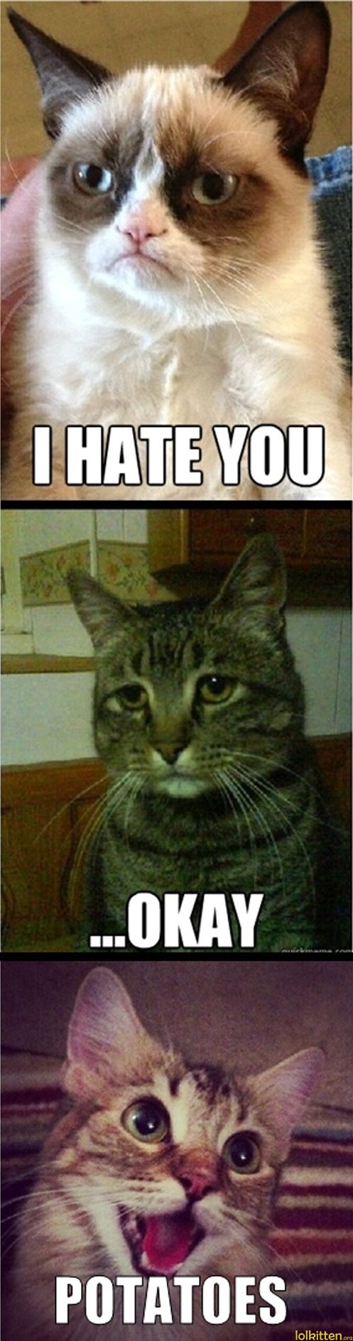 I HATE YOU - OKAY - POTATOES