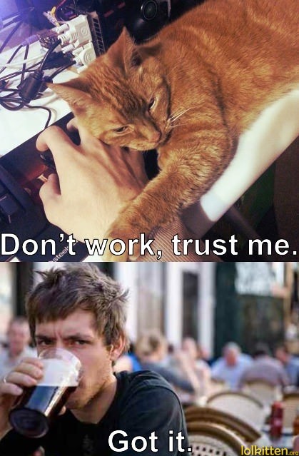 Don't work, trust me. Got it.