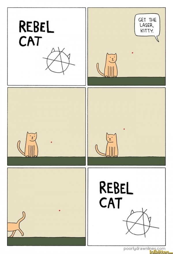 Rebel Cat comic