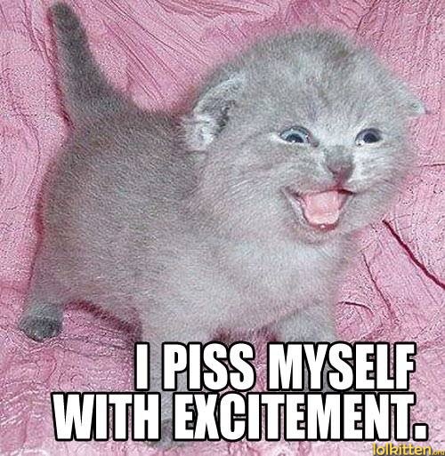 I PISS MYSELF WITH EXCITEMENT.