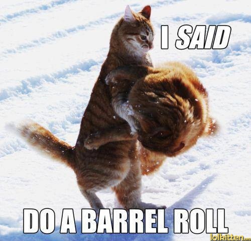 I SAID DO A BARREL ROLL