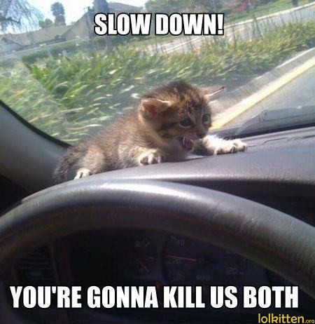 SLOW DOWN! YOU'RE GONNA KILL US BOTH