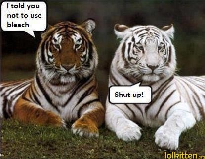 I told you not to use bleach - Shut up!
