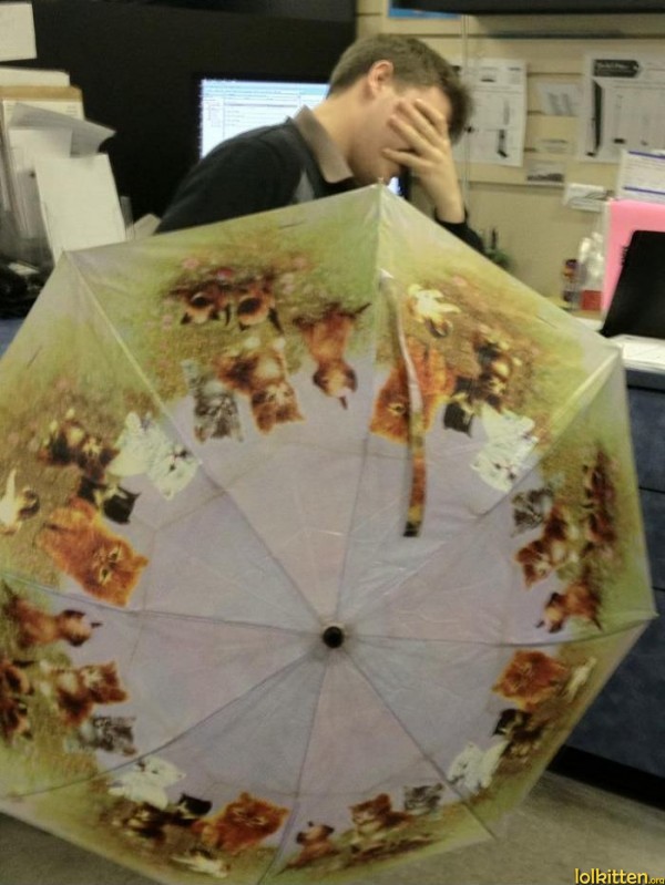 Cat Umbrella