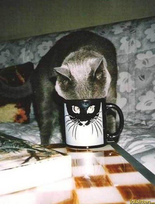 Cup mask