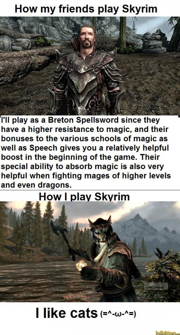 Skyrim - I like cats