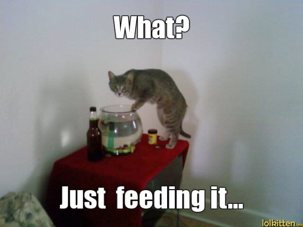 What? Just feeding it...