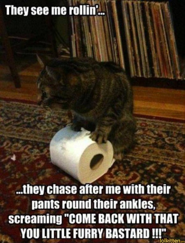 They see me rollin'...