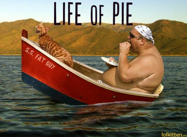 LIFE OF PIE